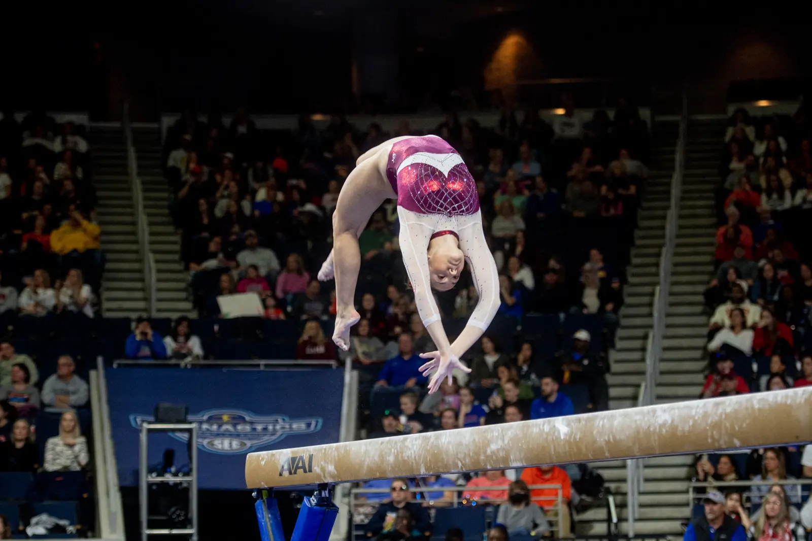 Gwinnett Sports Commission slideshow image 7