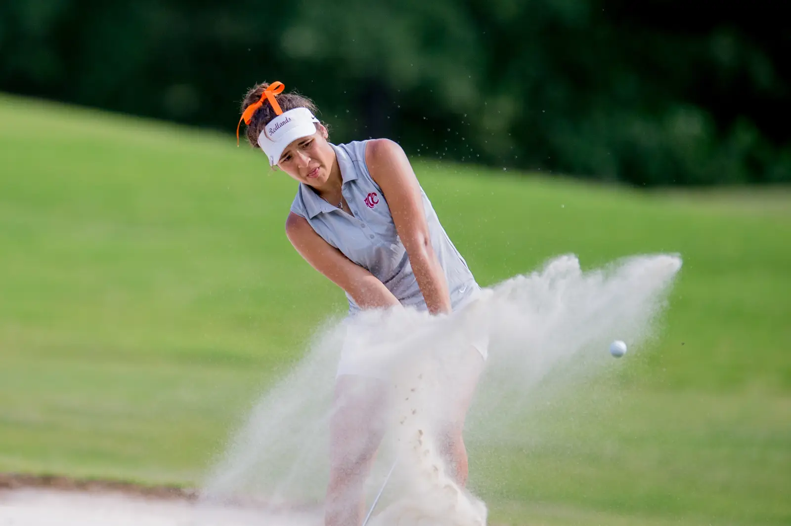 Gwinnett Sports Commission slideshow image 9
